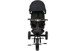 WILLONIN Tricycle Enfants évolutif, Tricycle 5 en1- Lumières et Musique, Siège Enveloppant, Siège et Inclinaison, Poussette 4 Roues, Garde-Corps Amovibles, Porte-gobelet, Noir