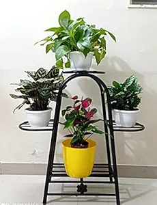 CAPPL Iron Plant Stand/Pot Stand (4 Pot Holder)