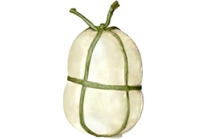 ALMA FOOD PROVOLA BIANCA DOLCE ARTIGIANALE TIPICA CAMPANA DA CIRCA 500 GR