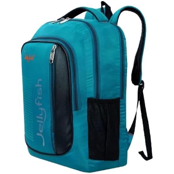 backpacks for women laptop Women's Laptop Backpack 15 Inches, Elegant Design