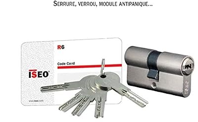 Iseo – Cylindre Sécurité R6 3040 Nickel