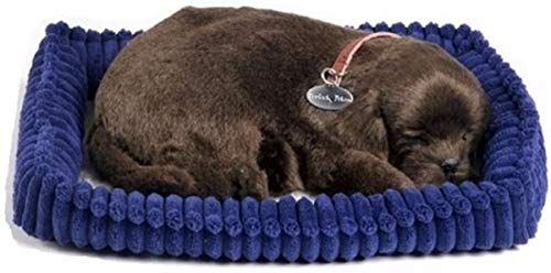 plenty gifts 96231 Perfect Petzzz Soft Chocolate Labrador, Pluche, Universel, Taille Unique