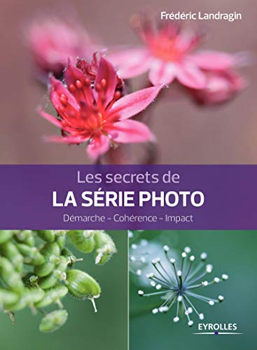 Télécharger Les secrets de la série photo: Démarche - Cohérence - Impact. Francais PDF