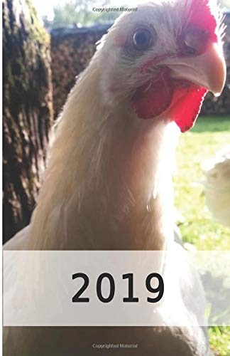 Preisvergleich Produktbild 2019: Hühner / Eier Kalender / Landwirt / Hobbyzüchter / Legeaufzeichnung / Eier Legeleistung