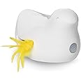 PetSafe Peek-A-Bird Electronic Cat Toy, 350 g