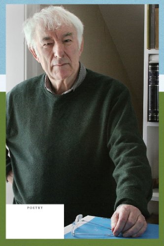 Book's Cover of Human Chain