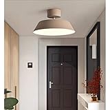 JU Gyy Home Hotel Beleuchtung Exquisite Kronleuchter, Farbe Macarons LED Deckenleuchte Korridor Gang Moderne Einfache Wohnzimmer Balkon Deckenleuchte