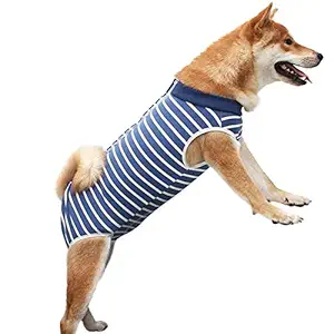 KOESON Dog Recovery Suit, Dog Cone/Collar Alternative After Spay Surgery Recovery Suit for Female Dogs, Professional Pet Post Operative Shirt for Abdominal Wounds Anti-Licking Stripe L