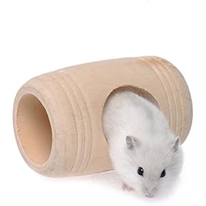 CanVivi Hamster Haus Kleine Tier Hasenhaus Mini Nagelhaus