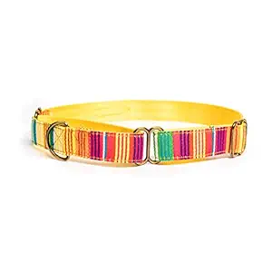PetWale Colourful Stripes Dog Martingale Collar - (Size : Medium)
