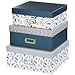 Produktbild Hama Set of Storage Boxes Designlin Feathers 3 Pcs. 2413, 2413 (Feathers 3 Pcs. 2413)