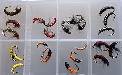 BestCity Limited Lot de 24 nymphes tchèques pour Pêche à la mouche fil en cuivre Taille 8/12 #321