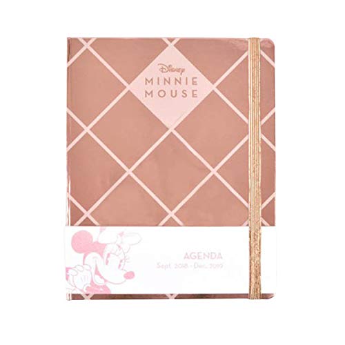 Preisvergleich Produktbild Vistoenpantalla Agenda Minnie Mouse, 2019 Disney