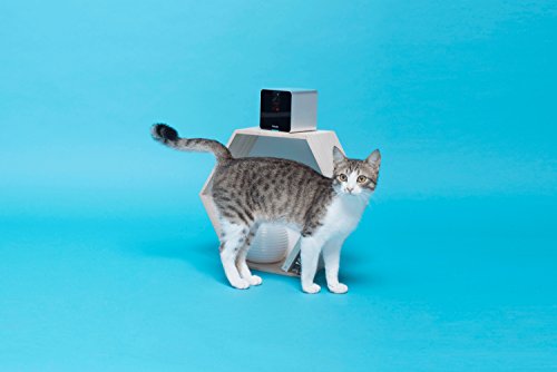Petcube-Interactive-Wi-Fi-Pet-Camera