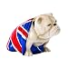 Produktbild Jack the Bulldog Figur von Royal Doulton - SPECTER 2015 - 007 James Bond