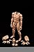 Produktbild 1/6 Scale Action Figure Zahl Male Muscular Male Nude Body Korper Doll Toys Spielzeug Asain Skin for HT Dam CD Crazy Dummy 12" Action Figure Zahl