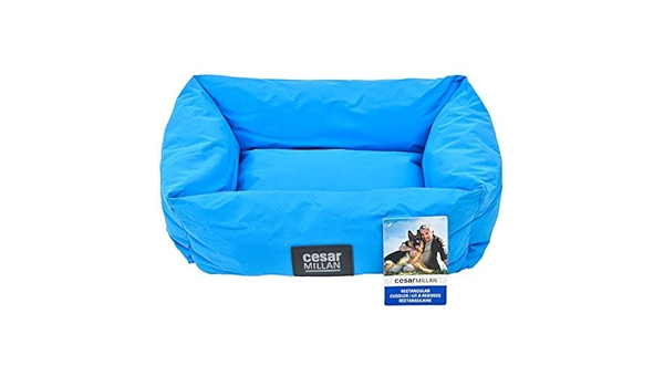 cesar millan dog bed