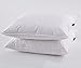 Puredown White Goose Feather and Down Pillow, Standard, Set of 2