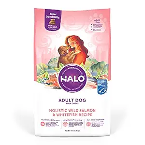 Halo Holistic Dry Dog Food