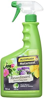 ALGOFLASH NATURASOL BIOCLOPRETAN Anti-Chlorose Reverdissant Toutes Plantes - Prêt à l'Emploi 750 ml, Vert, 12 x 7 x 26 cm