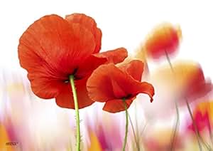 Tischsets Platzsets abwaschbar Klatschmohn von ARTIPICS 4er-Set