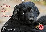 Mein bester Freund - Der Hovawart (Wandkalender 2020 DIN A4 quer) by 