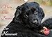 Mein bester Freund - Der Hovawart (Wandkalender 2020 DIN A4 quer) by 