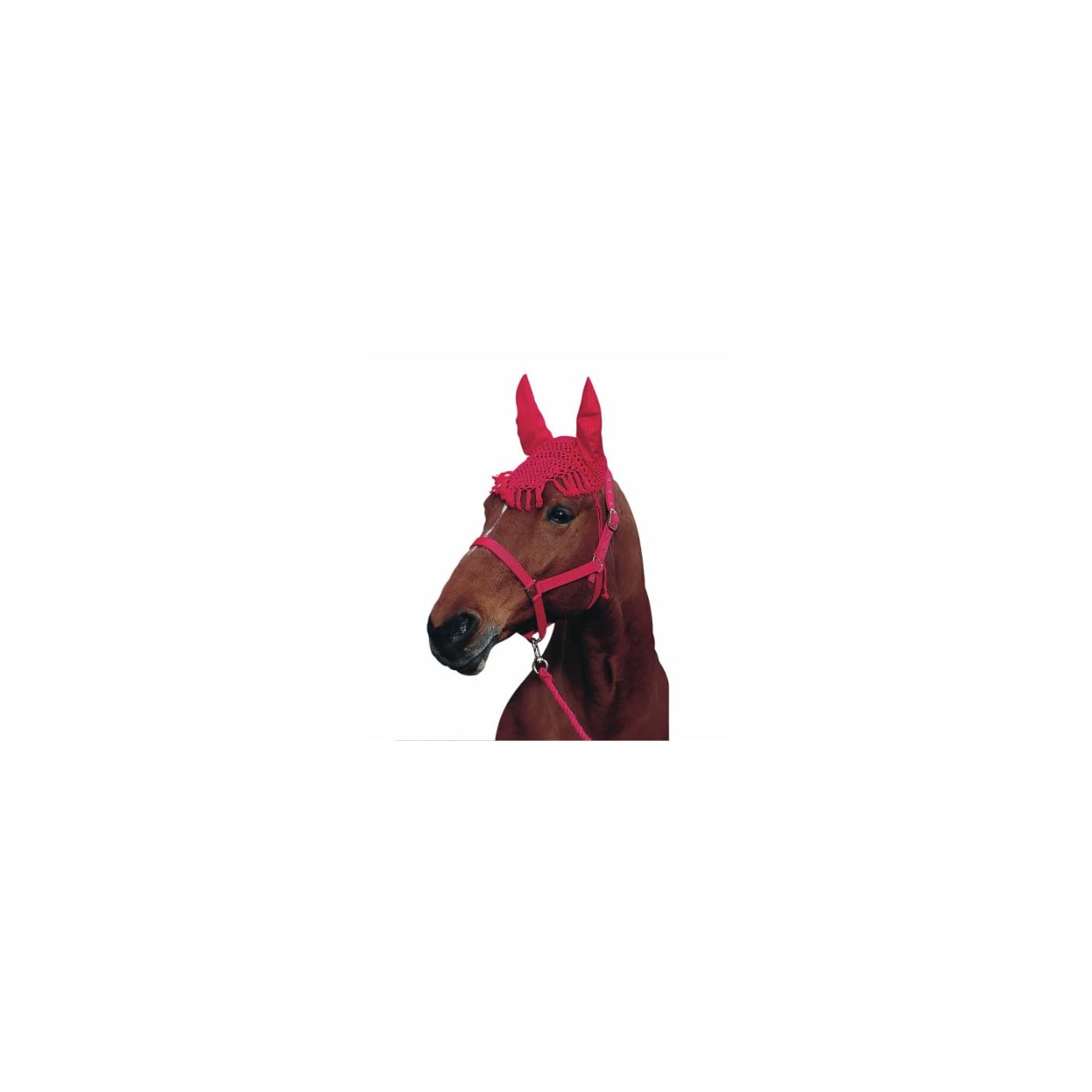 Horse ‘n’ Pony