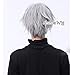 Short Grey Men Boy Stylish Anime Cosplay Wig+Free Wig Cap