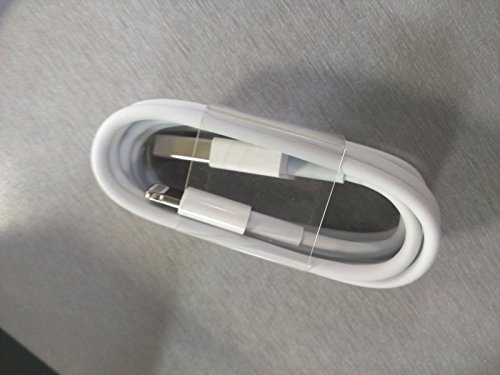 Original Apple iPhone 8 7 6 5 5S 5  C Lightning chargeur USB c  ble de donn  es iPad iPad Mini