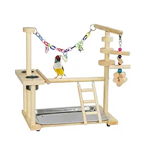 Exttlliy Parrots Bird Playground Birdcage Playstand Play Gym Parakeet Playpen Ladder with Feeder Cup Bird Toys Swing Chew Toy