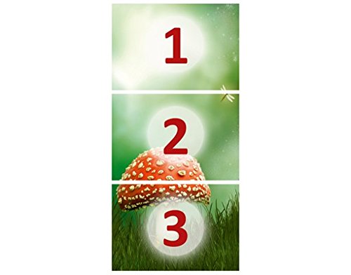 Türtapete Papiertapete Wald No.29 ‚IT’S MAGIC‘ 100x210cm Foto Tapeten Märchen , Größe:210cm x 100cm - 4