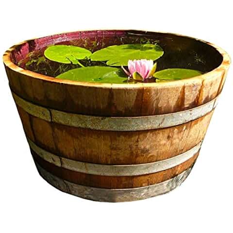 Suchergebnis auf Amazon.de für: Hochteich: Garten