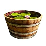 weinfass deko ebay Aus massiver Eiche, daher frostsicher und witterungsbeständig. Isoliert im Winter sogar das Wurzelwerk.