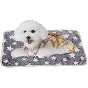 LHWY Rechteckige Haustier Pad Welpen Bett Winter Warme Decke für Hund Katze (60 x 40 cm, A)