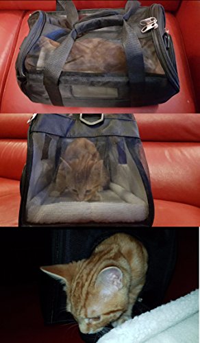FIRIK-Sac-de-Transport-Respirant-Lavable-et-Pliable-Sac--Main-de-Voyage-par-Avion-et-Voiture-pour-Chat-Chaton-Chiot-Lapin-et-Autres-Animaux-45-x-30-x-25-cm-Noir