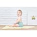 Bambino Mio, Miosolo All-In-One Reusable Nappy, Onesize, Bumble