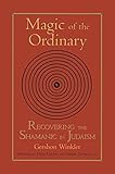 Magic of the Ordinary: Recovering the Shamanic in Judaism by 
