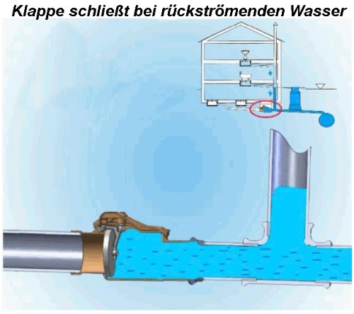 Rückstauverschluss/Rückstauklappe DN50 mm-mit Edelstahlklappe - 6