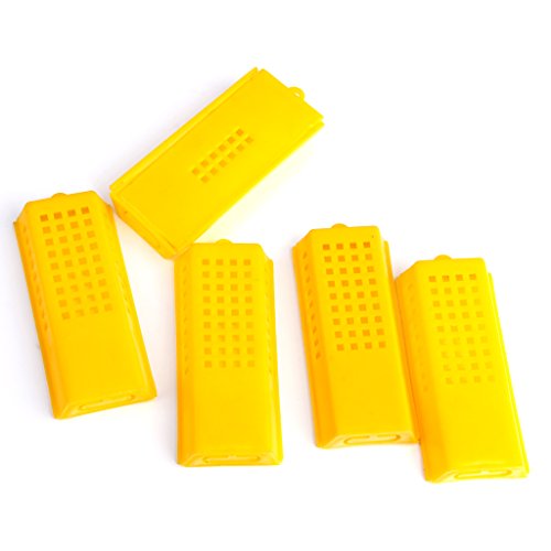 10 Stk Professional Queen Biene Butler Käfig Catcher Imkerei Werkzeug - 6