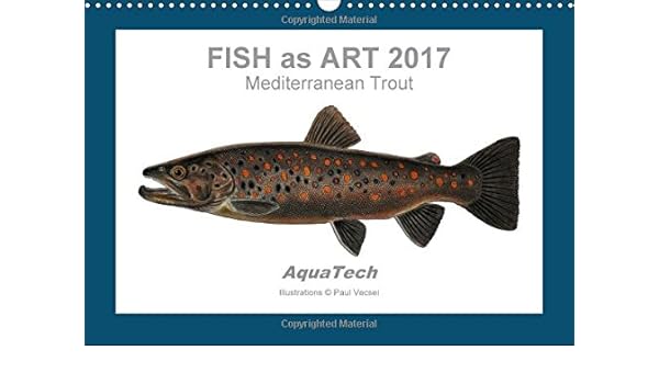 Fish As Art 2017 Mediterranean Trout 2017 With 13 - 