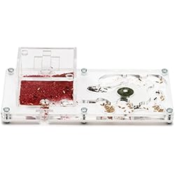 AntHouse Fourmiliere Ant Farm 20x10x1 (Fourmis et Reine gratuites)
