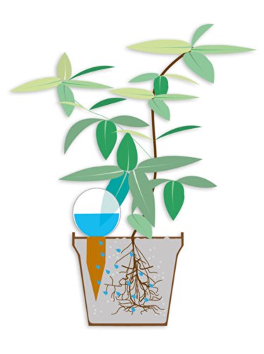 Bio Green Bewässerung Hydro Deko Gießkugel aqua - 3