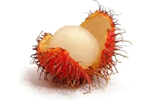 MY EXOTIC FRUIT Rambutan 1kg - Exotic fruit - Fresh from Thailand