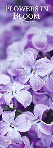 Preisvergleich Produktbild FLOWERS IN BLOOM 2019 SLIM CALENDAR