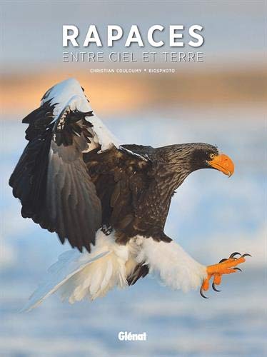 Download Rapaces, entre ciel et terre Download Rapaces, entre ciel et terre