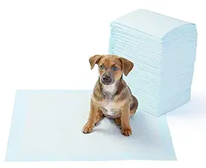 PSK PET MART Puppy House Breaking and Potty Training Pads (L, 60 X 45 cm, 40 pcs)