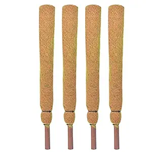 Sparkenzy 4 Feet Coir Moss Stick/Coco Pole for Climbing Plants (Set of 4)