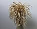 New Claw Clip in Tousled style short Synthetic Hairpieces with 3 soft wired Bun Scrunchies Scrunchy Straight Updo Hairdo Blonde (Light Blonde fully mixed #16/613)