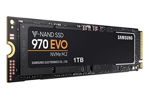 Samsung 970 EVO - Memoria SSD de 1 TB  Color Negro